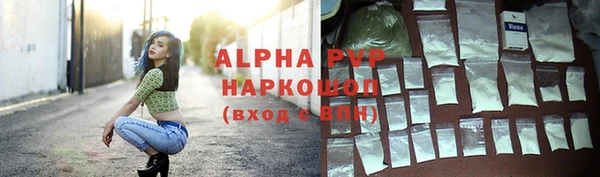 сатива Новокубанск