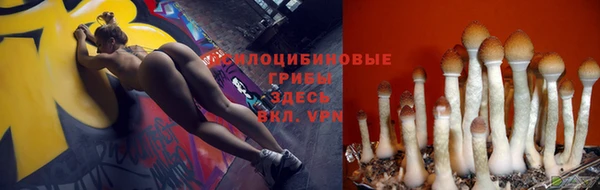 прущие крисы Новозыбков