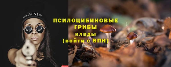 сатива Новокубанск