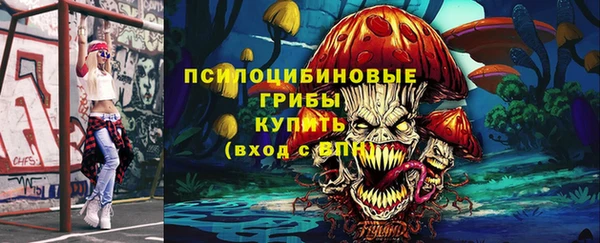 сатива Новокубанск