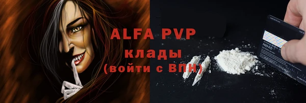 сатива Новокубанск