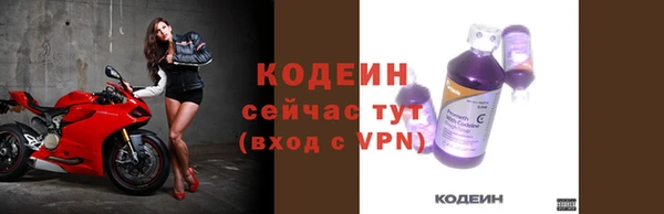 прущие крисы Новозыбков