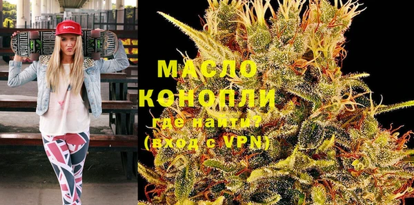 дмт Болотное