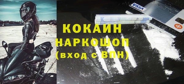 прущие крисы Новозыбков
