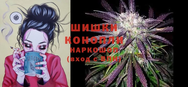 сатива Новокубанск