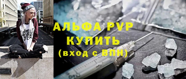 сатива Новокубанск