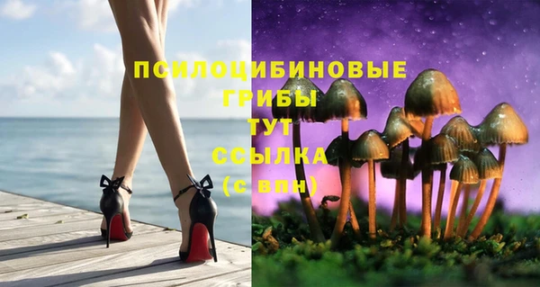 прущие крисы Новозыбков