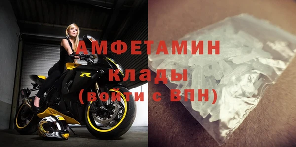 сатива Новокубанск