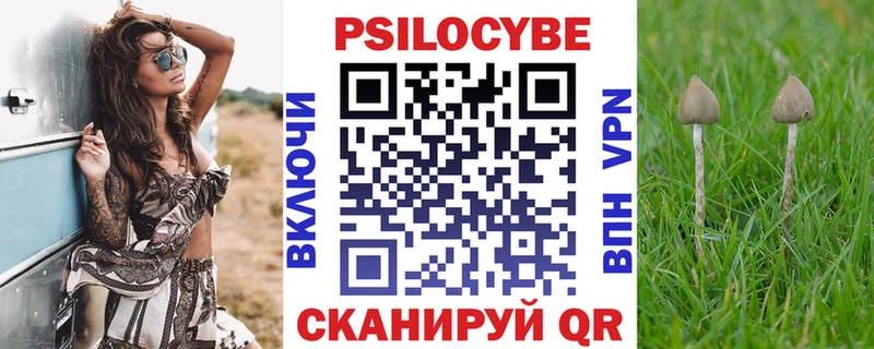 купить наркоту  Балашов  Галлюциногенные грибы Cubensis 