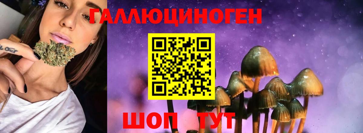 Галлюциногенные грибы мицелий  Галлюциногенные грибы мицелий  Вход с VPN  Балашов 
