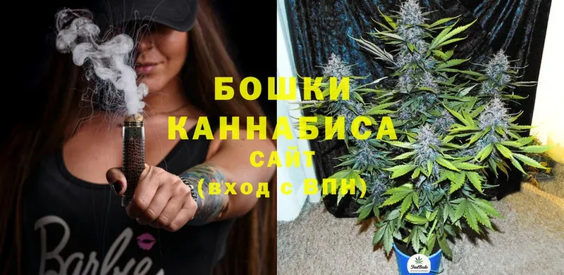 Бошки марихуана LSD WEED  наркотики  Балашов 